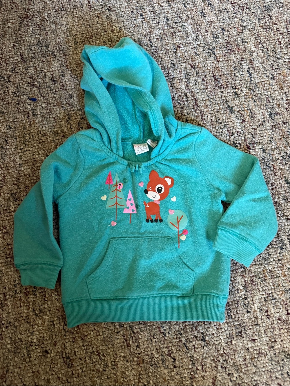 The Children's Place Teal Hoodie